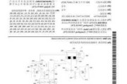 
创新层
诺德电子新增专利信息授权：“一种
型储能电池”