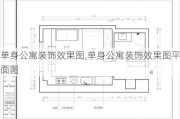 单身公寓装饰效果图,单身公寓装饰效果图平面图