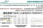 国能
新：未来
将在我国“双碳”战略及建设“新型电力
”大背景的指引下，积极响应能源结构变化带来的市场机会