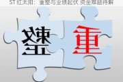 ST 红太阳：重整与业绩起伏 资金难题待解