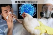 
巴氏
菌牛
中发现禽流感
片段 H5N1型禽流感
正在
多地传播