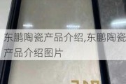 东鹏陶瓷产品介绍,东鹏陶瓷产品介绍图片