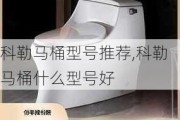 科勒马桶型号推荐,科勒马桶什么型号好