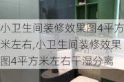 小卫生间装修效果图4平方米左右,小卫生间装修效果图4平方米左右干湿分离