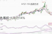 东方甄选午后
持续扩大 股价大涨近14%