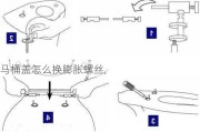 马桶盖怎么换膨胀螺丝,