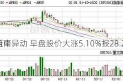 西南
盘中异动 早盘股价大涨5.10%报28.21
