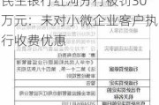 民生银行红河分行被罚30万元：未对小微企业客户执行收费优惠