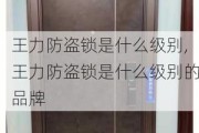 王力防盗锁是什么级别,王力防盗锁是什么级别的品牌