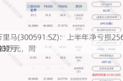 万里马(300591.SZ)：上半年净亏损2569.40万元，同
盈转亏