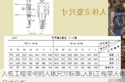 人机工程学中的人体尺寸标准,人机工程学人体尺寸分析