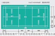 羽毛球场标准尺寸多高,羽毛球场标准尺寸多高合适