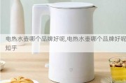 电热水壶哪个品牌好呢,电热水壶哪个品牌好呢知乎