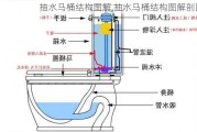 抽水马桶结构图解,抽水马桶结构图解剖图