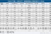 14家新能源品牌上半年销量大盘点：全年销量目标完成率无一超40%