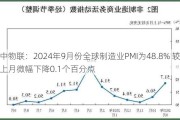 中物联：2024年9月份全球制造业PMI为48.8% 较上月微幅下降0.1个百分点