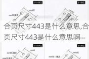 合页尺寸443是什么意思,合页尺寸443是什么意思啊