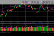 午评：燃料油、原油等涨超2%