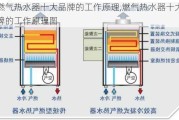 燃气热水器十大品牌的工作原理,燃气热水器十大品牌的工作原理图