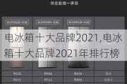 电冰箱十大品牌2021,电冰箱十大品牌2021年排行榜