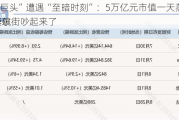 
“七巨头”遭遇“至暗时刻”：5万亿元市值一天蒸发！“AI泡沫”加速破
？华尔街吵起来了