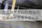 房屋漏水怎么办,物业不给解决房屋漏水怎么办