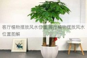 客厅植物摆放风水位置,客厅植物摆放风水位置图解