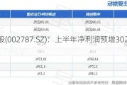 华源控股(002787.SZ)：上半年净利润预增302.77%-343.15%