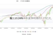 丸
份：2024年半年度净利润约1.77亿元，同
增加35.09%