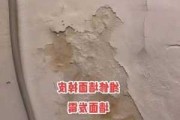 墙面返潮发霉怎么处理,墙体返潮发霉的原因