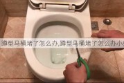 蹲型马桶堵了怎么办,蹲型马桶堵了怎么办小妙招