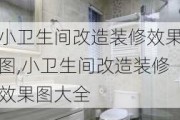 小卫生间改造装修效果图,小卫生间改造装修效果图大全