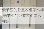 索菲亚的卧室衣柜怎么样,索菲亚的卧室衣柜怎么样啊