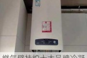 燃气壁挂炉十大品牌冷凝机,燃气壁挂炉十大品牌冷凝机排名