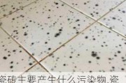 瓷砖主要产生什么污染物,瓷砖主要产生什么污染物造成室内空气污染