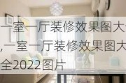 一室一厅装修效果图大全,一室一厅装修效果图大全2022图片