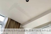 空调不制冷为什么还漏水,空调不制冷为什么还漏水呢