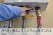 燃气热水器怎么防冻,燃气热水器怎么防冻视频