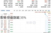 雷特控股登陆
市场 开盘涨超38%