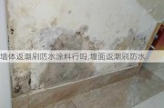 墙体返潮刷防水涂料行吗,墙面返潮刷防水