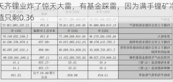 天齐锂业炸了惊天大雷，有基金踩雷，因为满手锂矿净值只剩0.36