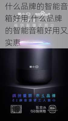 什么品牌的智能音箱好用,什么品牌的智能音箱好用又实惠