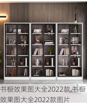 书橱效果图大全2022款,书橱效果图大全2022款图片