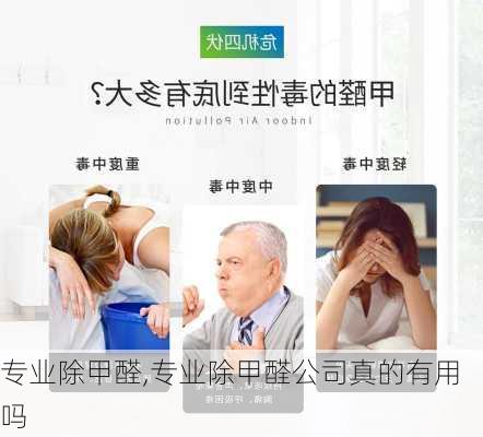 专业除甲醛,专业除甲醛公司真的有用吗