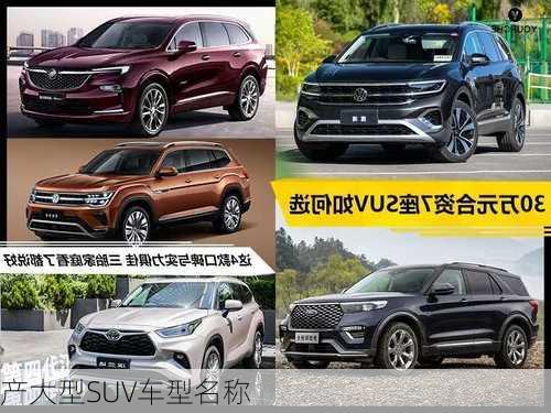 
产大型SUV车型名称