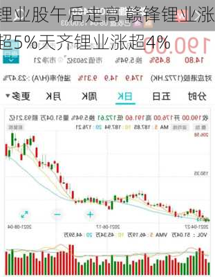 锂业股午后走高 赣锋锂业涨超5%天齐锂业涨超4%