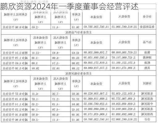 鹏欣资源2024年一季度董事会经营评述