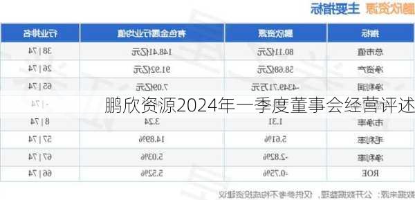 鹏欣资源2024年一季度董事会经营评述