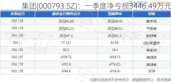 
集团(000793.SZ)：一季度净亏损3446.49万元