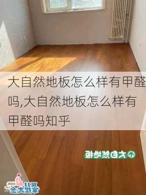 大自然地板怎么样有甲醛吗,大自然地板怎么样有甲醛吗知乎